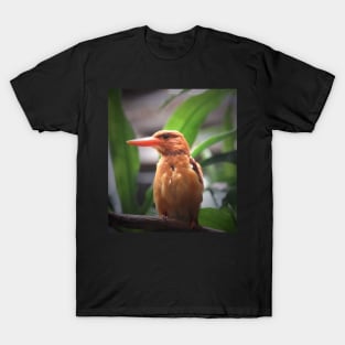 Ruddy Kingfisher T-Shirt